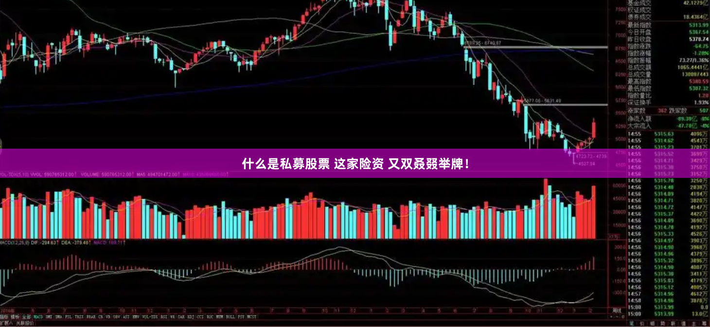 什么是私募股票 这家险资 又双叒叕举牌！