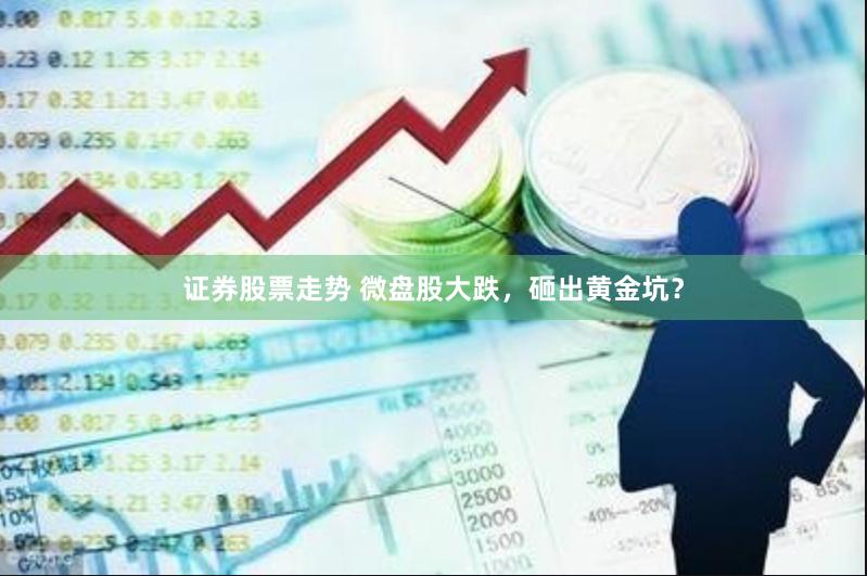 证券股票走势 微盘股大跌，砸出黄金坑？