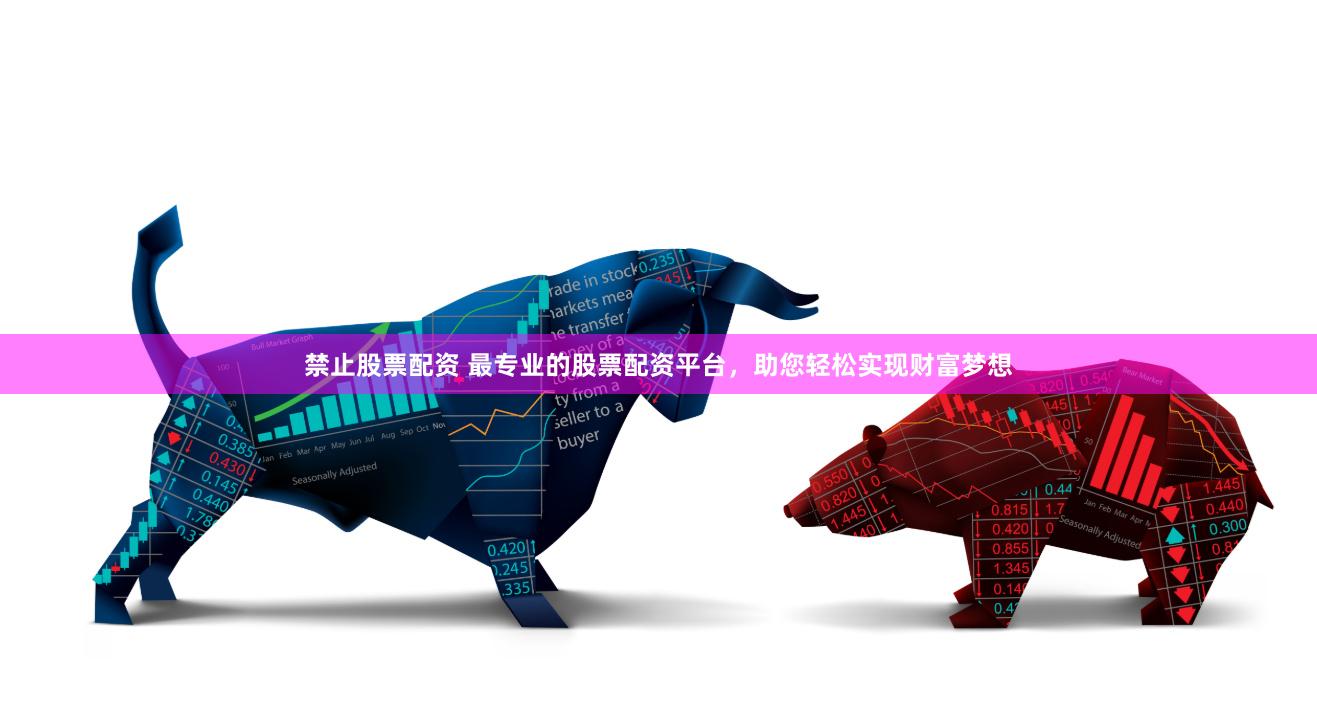 禁止股票配资 最专业的股票配资平台，助您轻松实现财富梦想