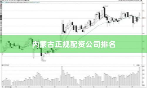 内蒙古正规配资公司排名